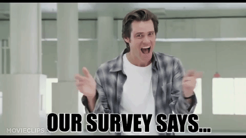 survey